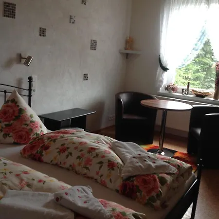 Apartment Privatvermietung Gruendel Thermalbad Wiesenbad