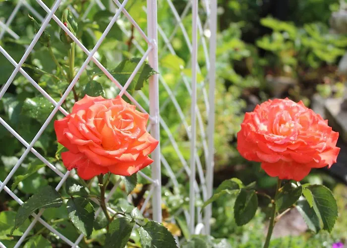 Privatvermietung Gruendel Appartamento *