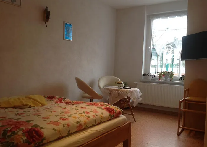 Privatvermietung Gruendel Appartamento Thermalbad Wiesenbad