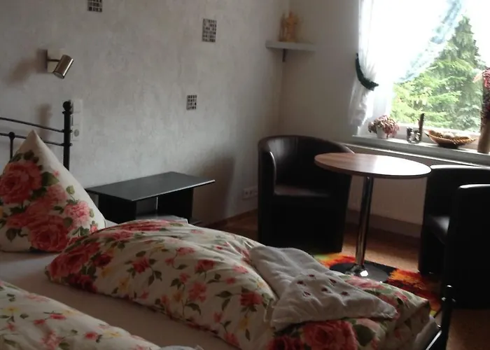 Appartamento Privatvermietung Gruendel Thermalbad Wiesenbad